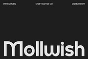 CS Mollwish – Modern Display Font, a Sans Serif Font by Craft Supply Co. (Thumbnail 1 of 8)