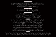 Bettha Bottle, a Script Font by Deniz86 (Thumbnail 14 of 14)