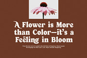 Kongo Elegant Serif Font, a Serif Font by Elegant Font (Thumbnail 4 of 8)