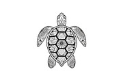Mandala Sea Turtle SVG Bundle, an Illustration by yasushie (Thumbnail 30 of 31)