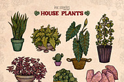 House Plants, an Object Illustration by Ink Stories (Thumbnail 4 of 23)