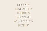 Celine - Delicate Playful Serif, a Serif Font by Bellevue Studio (Thumbnail 9 of 18)