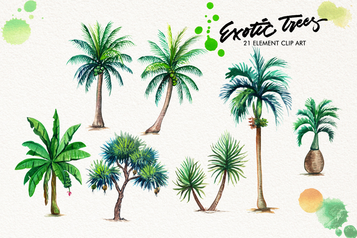 Watercolor Exotic Trees, an Illustration by Graphobia (Photo 3 of 11)