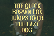 Stained Iron Playful Serif, a Serif Font by Haps Space (Thumbnail 5 of 12)