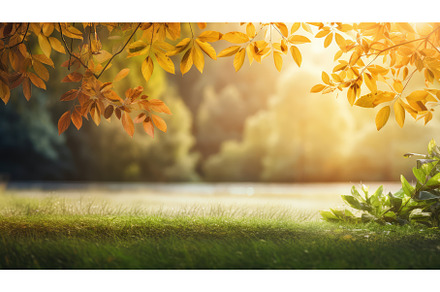 view natural border light, a Nature Photo by pikepicture