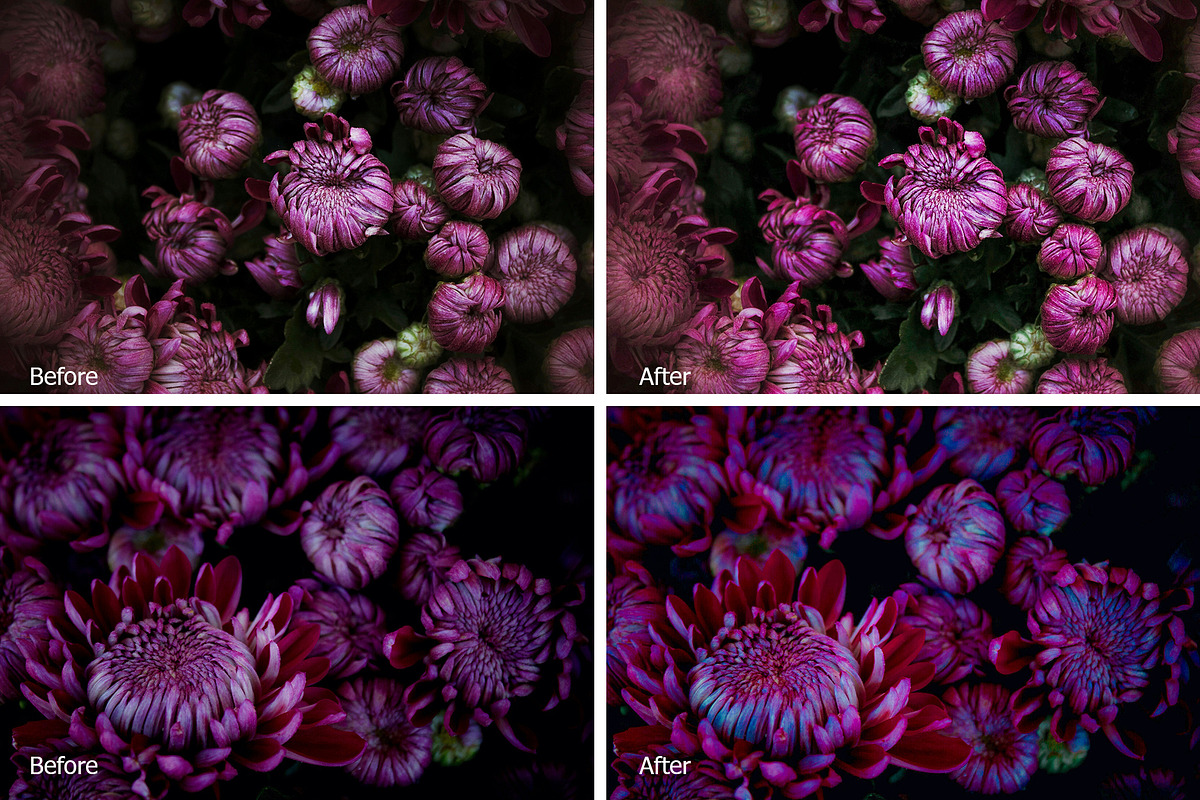 Chrysanthemum Lr Presets, an Action Add-On by PandoraDreams (Photo 3 of 3)