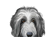 Dogs Cross Breeds 56 Animals Bundle, an Animal Illustration by Dneprstock (Thumbnail 39 of 55)