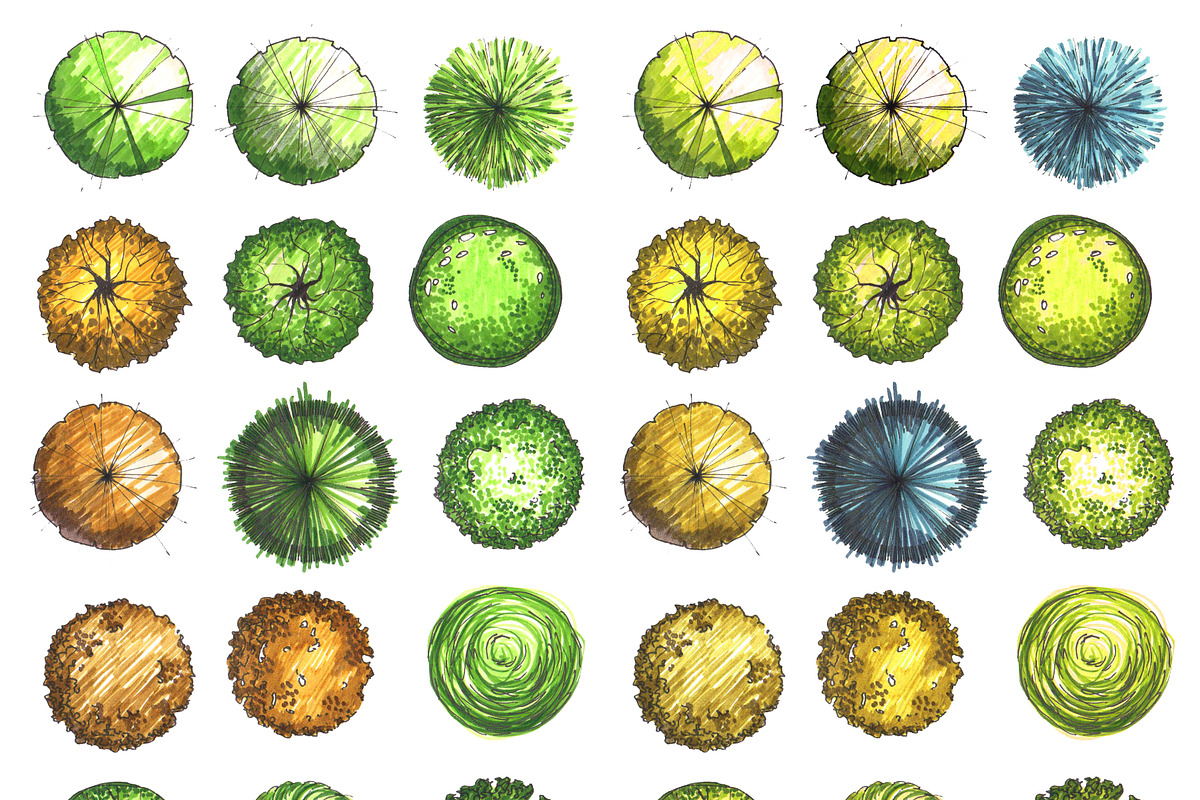 Elements for landscape planning, an Illustration by Lina_Lisichka