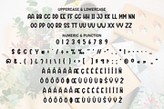 Sunday Vintage | Script Font, a Script Font by Scratchones (Thumbnail 7 of 8)