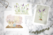 Spring Snowdrop and Muscari Clip Art, an Illustration by Julia M. Watercolor (Thumbnail 5 of 12)