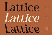 CS Hayes – Art Nouveau Font, a Serif Font by Craft Supply Co. (Thumbnail 2 of 8)