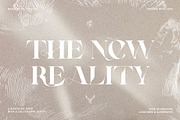 RATHER RISQUE - Ligature Serif Font, a Serif Font by SilverStag Type Foundry (Thumbnail 17 of 27)