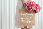 Stardust Font Collection, a Script Font by ReveryWorks (Thumbnail 11 of 12)