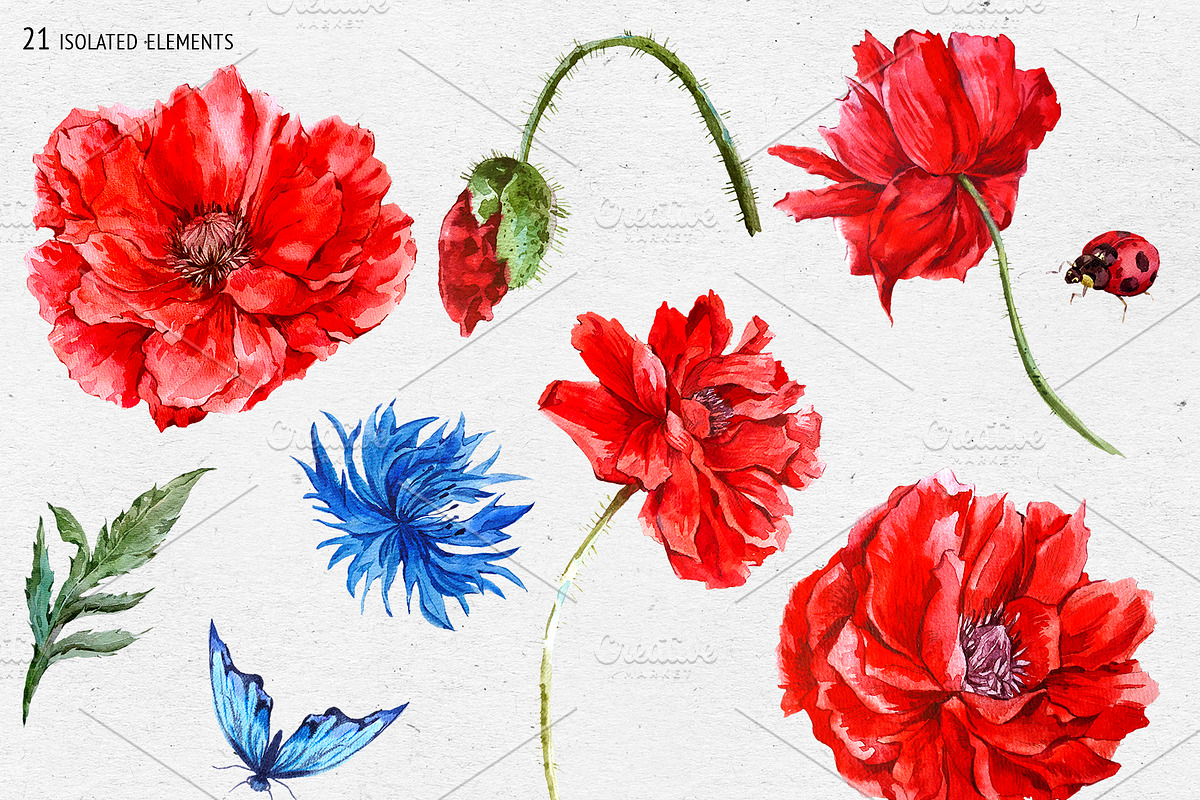 Red Poppy Watercolor Clipart, an Illustration by Depiano (Photo 6 of 9)