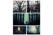 Haunted Halloween Forest Pack 1, a Holiday Photo by Atmospheric visuals (Thumbnail 1 of 6)