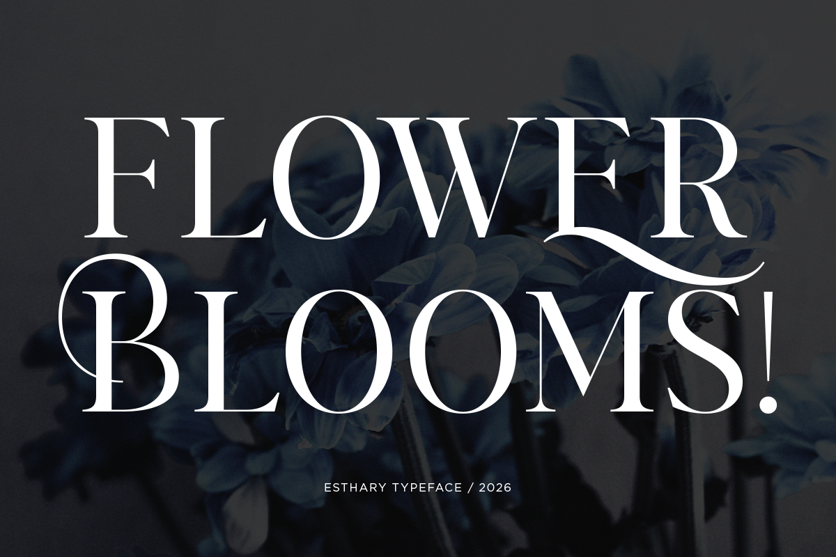 Stylish Elegant Serif Font - Esthary, a Serif Font by Say Studio (Photo 4 of 10)