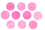Procreate Fabric seamless brushes, a Brush Add-On by Almazova Dolzhenko (Thumbnail 6 of 9)