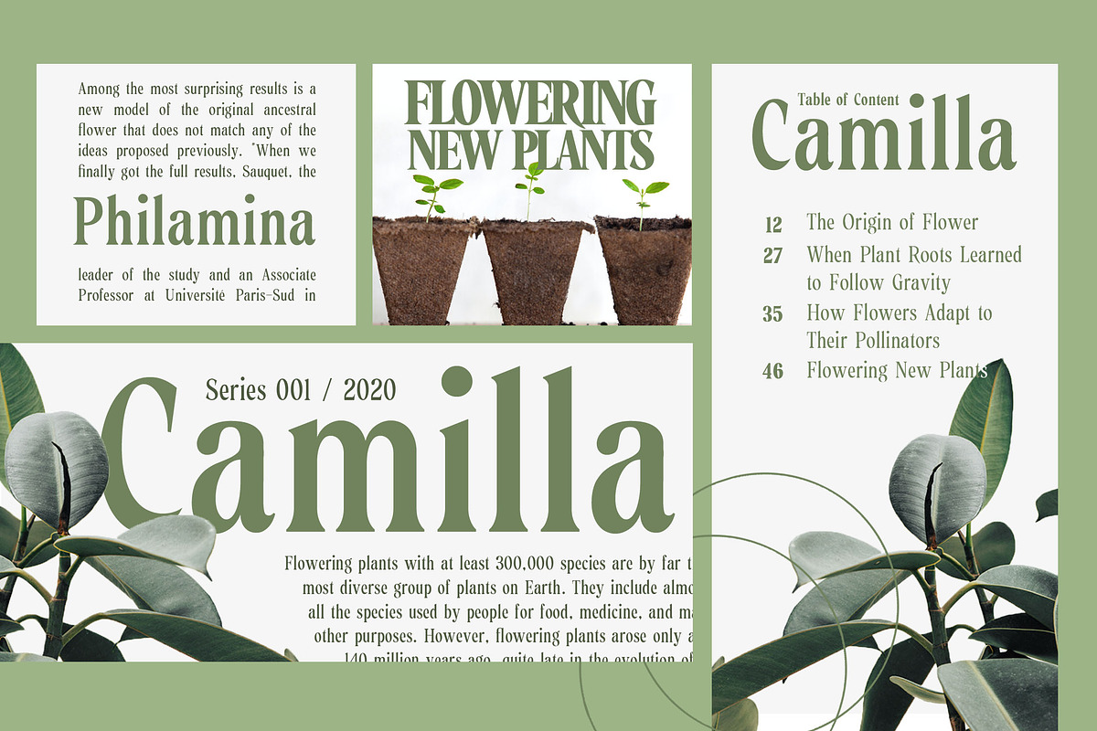 Roystorie Serif Family - 9 Fonts, a Serif Font by Typia Nesia (Photo 10 of 12)