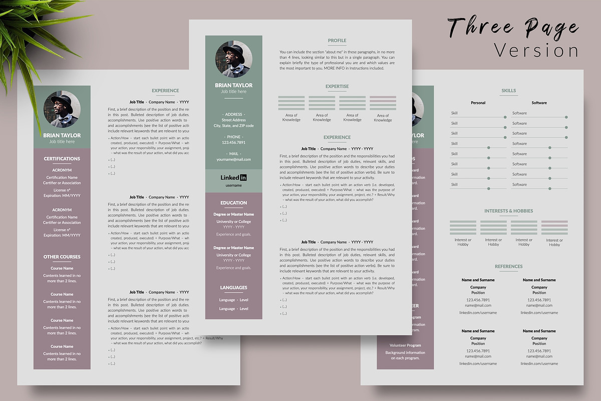 Modern Resume Design / CV - Brian, a Resume Template by Templates Design Co. (Photo 4 of 17)