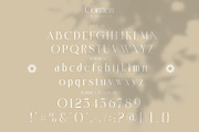 Contten Modern Ligature Serif, a Serif Font by Alfinart (Thumbnail 8 of 11)