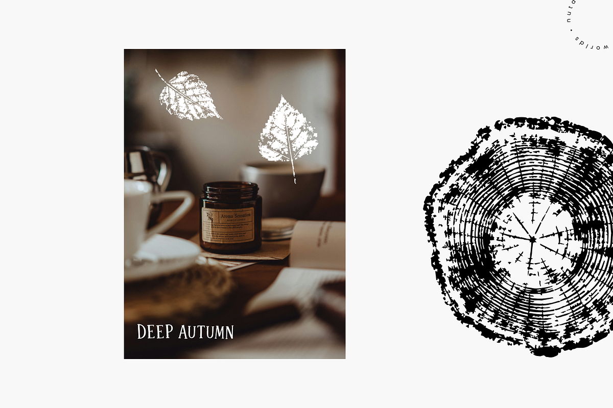Autumn Forest Imprints | Vector Pack, an Object Illustration by Nutalin Art (Photo 5 of 13)