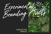 Ratsing Signature Script Sans Duo, a Script Font by Maulana Creative (Thumbnail 2 of 7)
