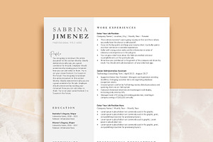 Professional Resume Template Pack