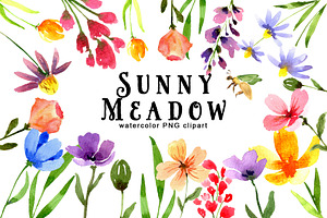 Sunny Meadow