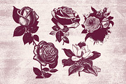 Vintage Flower Illustrations, an Illustration by TheBlackPixelCo (Thumbnail 4 of 6)