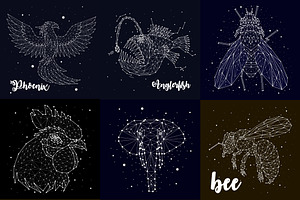 Constellation Of Animals