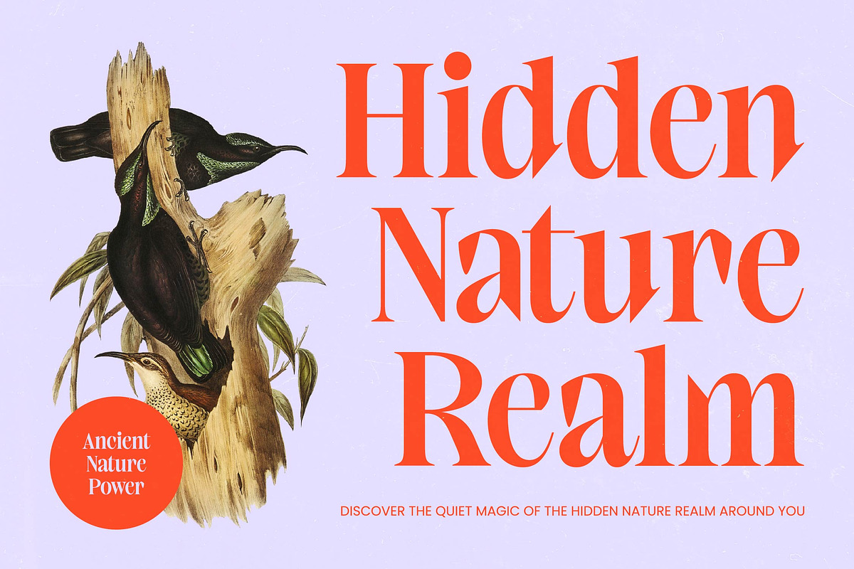 Elinkos Bold Tall Serif, a Serif Font by timelesstype.co (Photo 9 of 10)