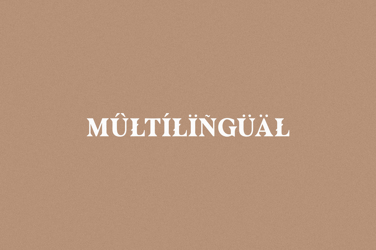 Avenger - Vintage Serif, a Serif Font by Schrifted Type (Photo 8 of 8)