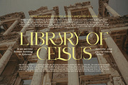 Daleant - Serif Font (10 Fonts), a Serif Font by Maculinc Type (Thumbnail 17 of 18)