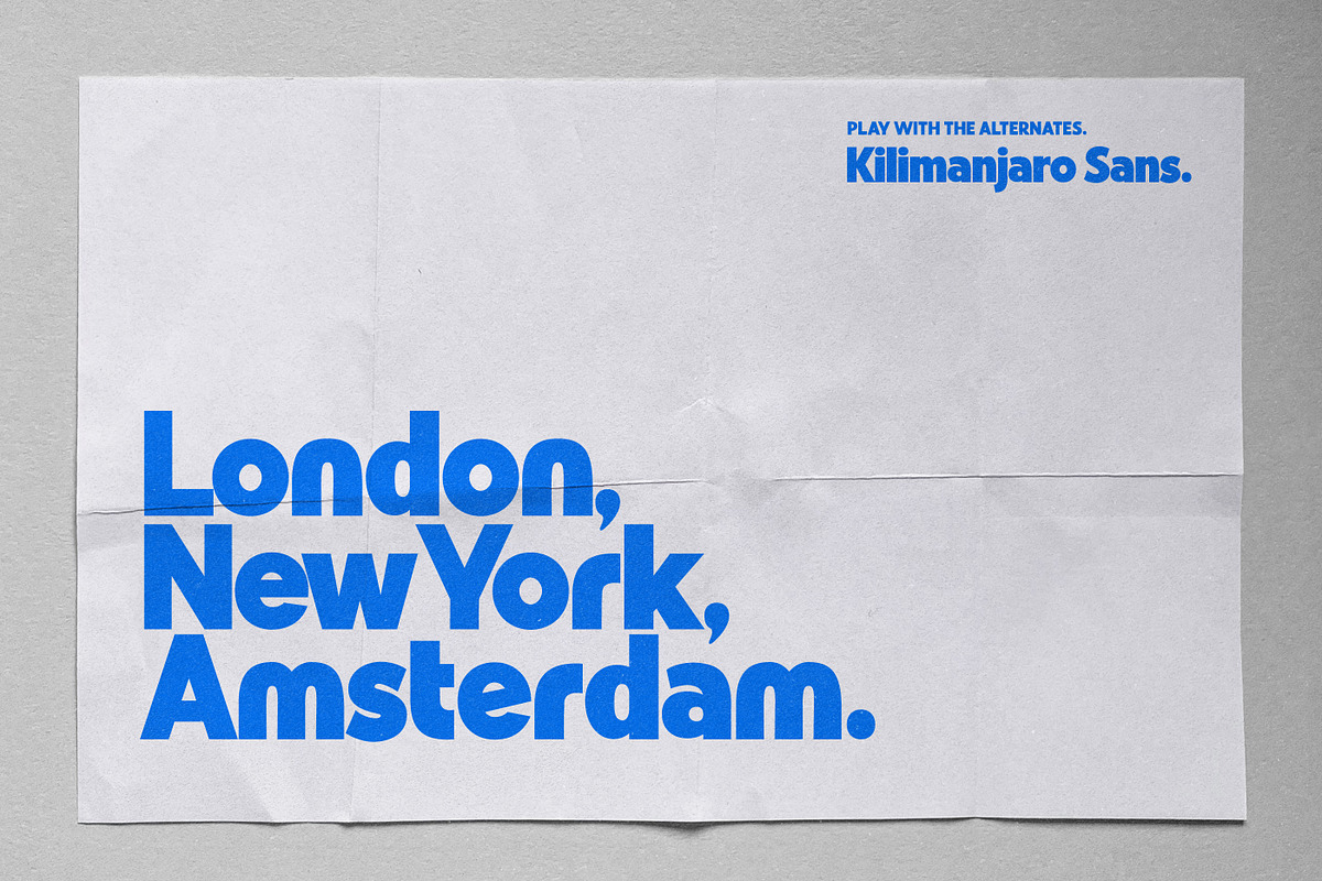 Kilimanjaro Sans (36 fonts), a Font by Nicky Laatz (Photo 47 of 75)
