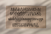 Romalise - Vintage Handwritten Font, a Handwritten Font by TypeClassHeroes (Thumbnail 6 of 10)