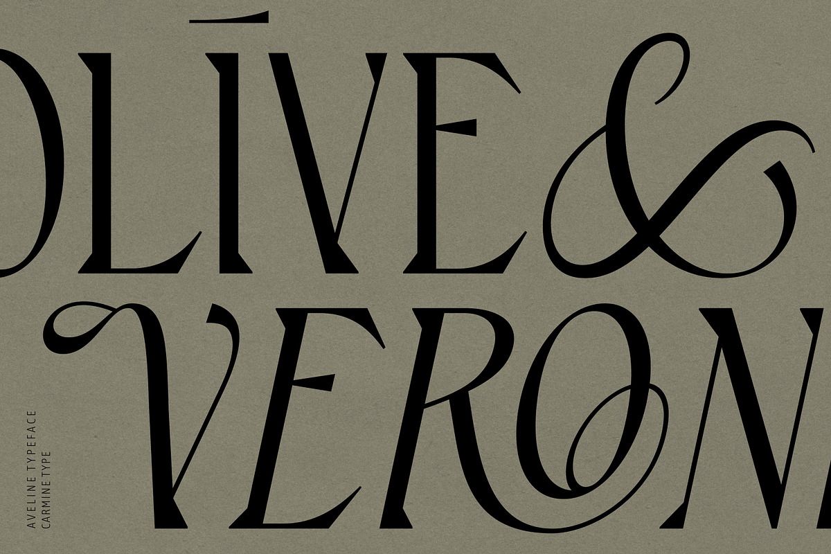 Aveline, Soft Serif with Ligatures, a Serif Font by CarmineType (Photo 6 of 28)
