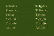 Ridley, a Serif Font by Dikas Studio (Thumbnail 3 of 10)