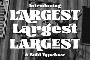 Largest Display Fonts