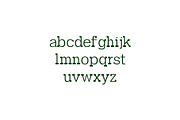 Garvin Slab Serif Font Family, a Slab Serif Font by Creativetacos (Thumbnail 3 of 5)