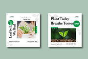 Botanical Green Plant Social Media, a Social Media Template by MightyDesign (Thumbnail 4 of 8)