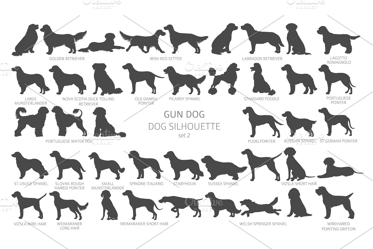 Gun Dogs (Hunting Dogs) Silhouettes, an Animal Illustration by pet design shop (Photo 6 of 13)