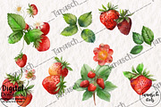 Watercolor Strawberry Clipart Berry, a Food Illustration by TanuschArts (Thumbnail 3 of 4)