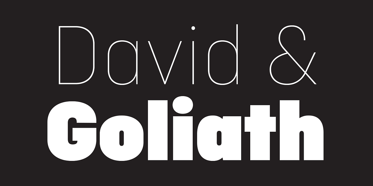 Ciutadella Display, a Sans Serif Font by Emtype Foundry (Photo 7 of 11)