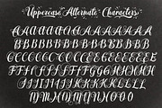 Monogram Script | Full Alphabet, a Script Font by Royaltype (Thumbnail 11 of 12)