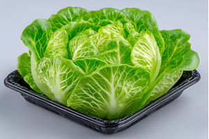 Cultivating microgreens from, a Food & Drink Photo by ZinetroN