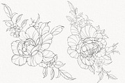 Procreate flower stamp, a Brush Add-On by AnnaPolitmerskaja (Thumbnail 2 of 6)