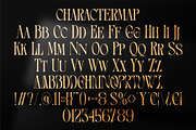Rewona || Modern Elegant Serif Font, a Serif Font by Ermedia Studio (Thumbnail 10 of 10)