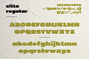 Zilla - Chunky Display, a Sans Serif Font by HipFonts (Thumbnail 4 of 9)
