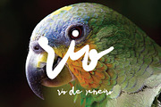 Rio de Janeiro - hand drawing script, a Script Font by Gittype (Thumbnail 7 of 11)