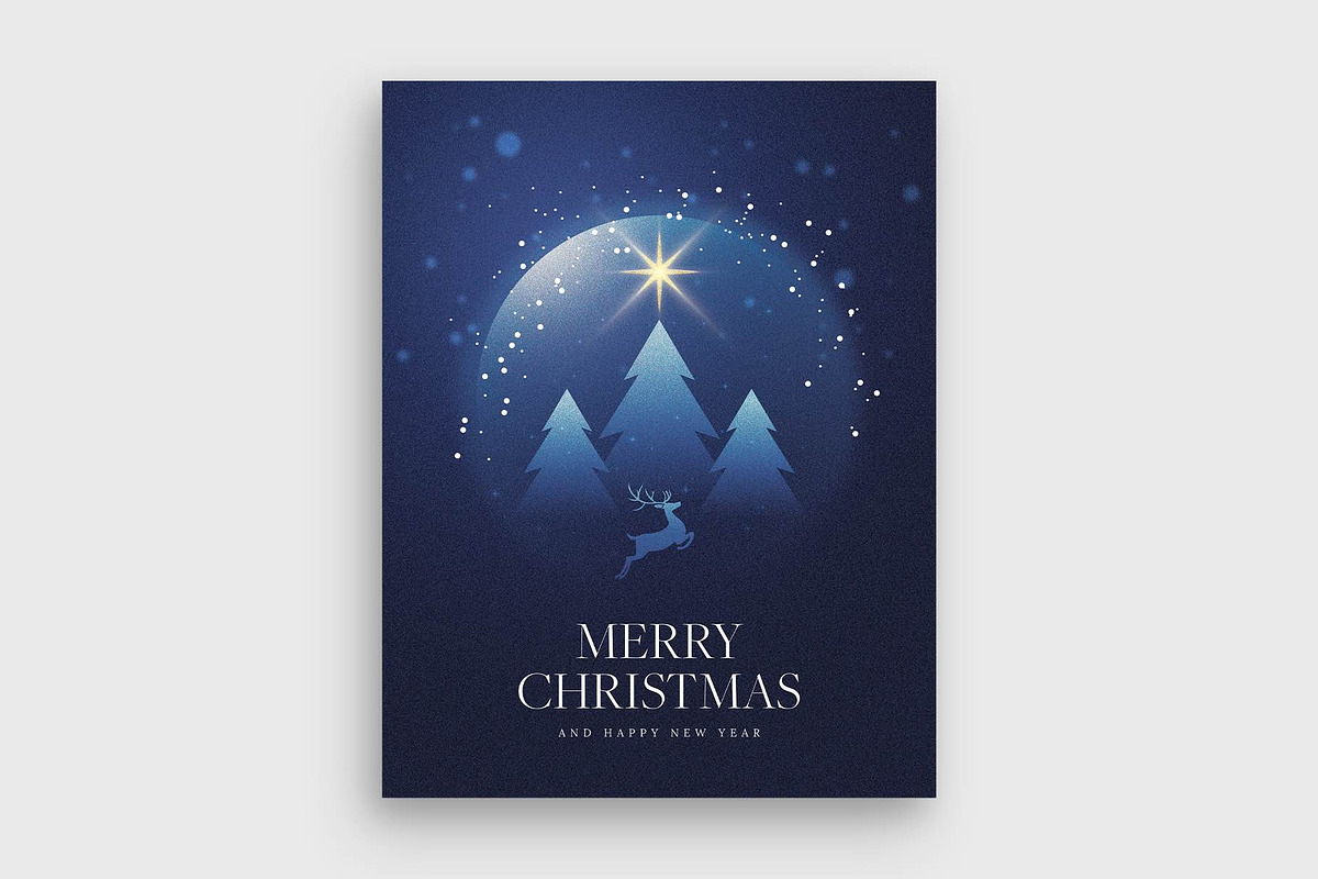 Winter Christmas Flyer Template preview 2